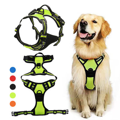 satın al Neopren yansıtıcı köpek kuşakları, tasma ve tasma olmadan özel Hi Vis köpek kuşakları Çevrimiçi üretim