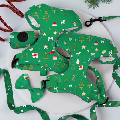 satın al Popüler Özel Kişiselleştirilmiş Tasarımcı Lüks Çekilmeyen Düzenlenebilir Yaka Kayışlı Kaynak Kaynak Kravat ve Bandana Dönüştürülebilir Köpek Harness Set Çevrimiçi üretim