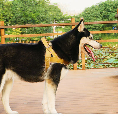 satın al OEM Odm Özel Köpek Aksesuarları Kayış ve Harness Yaka Taktiksel Tasarımcı Özel Güvenlik Evcil hayvan Köpek Harness Set Köpek Evcil hayvan Harness Çevrimiçi üretim