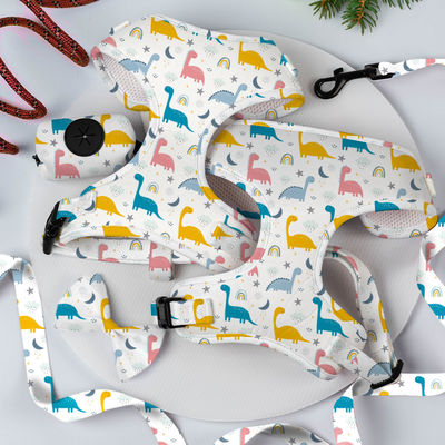 satın al Dönüştürülebilir Küçük Köpek Harness Ve Kayış Set Lüks Moda Köpek Yürüyüş Set Çevrimiçi üretim