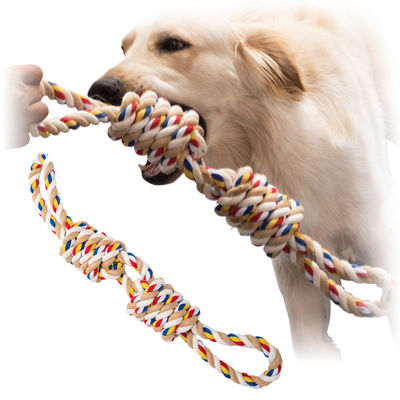 satın al Köpek Oyuncağı Evcil Evcil Evcil Evcil Evcil Evcil Evcil Evcil Evcil Evcil Evcil Evcil Evcil Evcil Evcil Evcil Evcil Evcil Evcil Evcil Evcil Evcil Evcil Evcil Evcil Evcil Evcil Evcil Evcil Evcil Evcil Evcil Çevrimiçi üretim