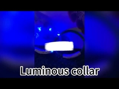 120cm Led Köpek Kılıfı Şarj edilebilir USB Işıklı Köpek Kılıfı Kişiselleştirilmiş