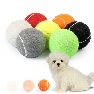 Siyah Gri Yok Edilemez Tenis Topu Köpek 2.5 