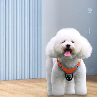 Mini Manyetik Başparmak Hareketi Kamera Video Kayıt Kablosuz Köpek Kamera Koltuğu