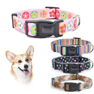 Modaya uygun Nylon Köpek Yakaları S M L Kedi Yakaları Özel