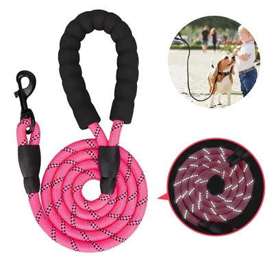 Yansıtıcı Nylon Köpek Kayışı Kabul edilebilir OEM ODM Üretim Tüm Sezon Pazarı