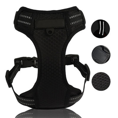 Neoprene Harness Bu Geri Dönüştürülebilir Blow Kravat ve Bandana Set ile Gardırobunu Geliştir