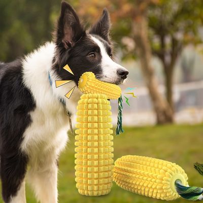 Zehirsiz Çığlıklı Köpek Oyuncakları TPR Agresif Çiğneyenler İçin Çiğne Oyuncakları