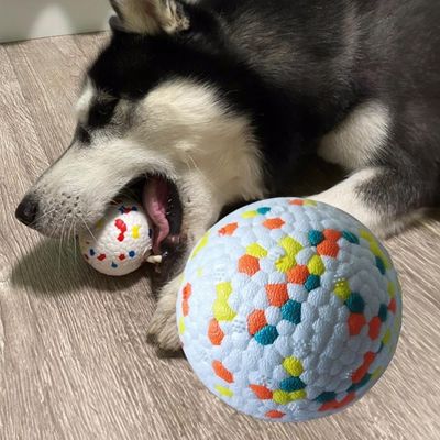 Köpek çiğnemek oyuncağı ETPU Solid Ball Interactive Pet Toys and Accessories