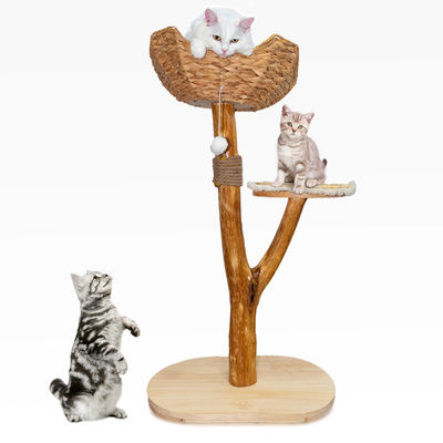 Kedi Ağacı Eşsiz Tasarım Doğal Ahşap Kedi Kulesi Kolay tırmanış Küçük kedi