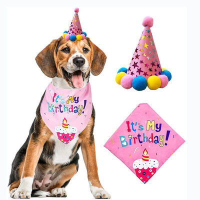 Evcil hayvanlar için parti dekorasyon seti Köpek bandana şapka kravat balon malzemeleri Mutlu kek üstü kumaş